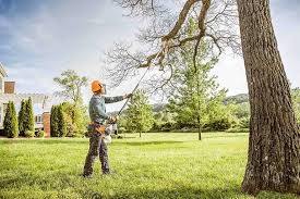 Best Commercial Tree Services  in Ranger, TX